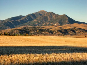 Vote for Open Lands – Bozeman!