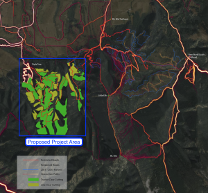Recreation Impacts of Logging Limestone West