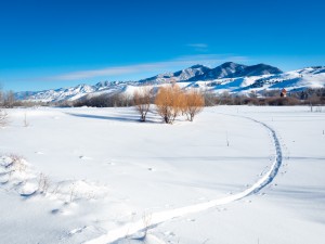Snowmageddon 2019