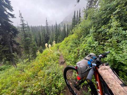CDT 1: Pickin’ Beargrass with my Handlebars (in the rain)