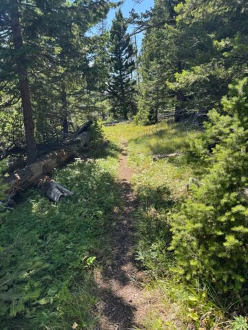 9: MacDonald Pass