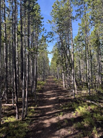 10: Endless Singletrack!