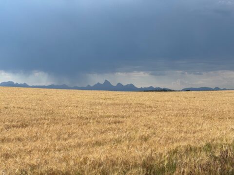 24: Teton Valley