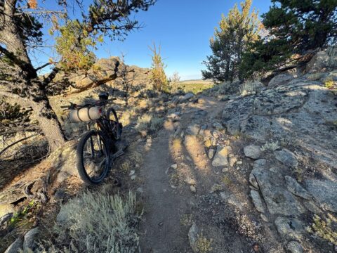 31: Into the Great Basin