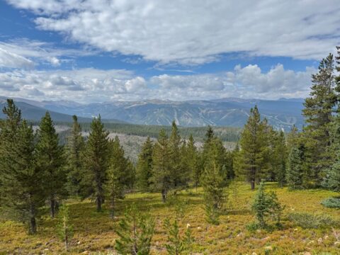 40: Rollins Pass