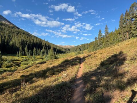 44: Me and the Marmots