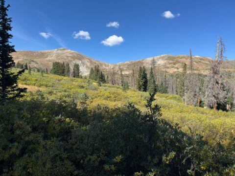 45: Mt. Princeton and its Hotsprings