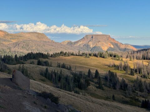 50: Wolf Creek