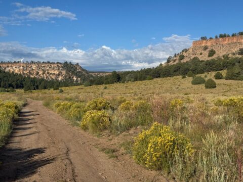 54: Valles Caldera