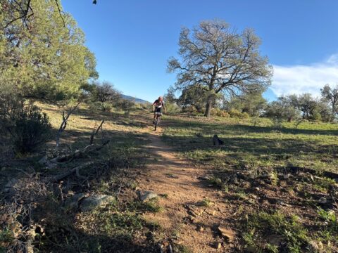 64: Burro Mountains
